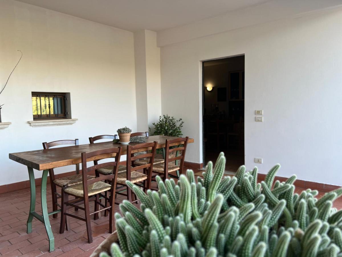 La Casa Di Demetra. Un Paradiso Tra Gli Olivi. Montecchio  Buitenkant foto