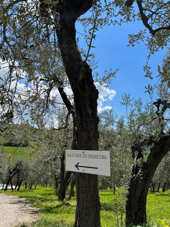 La Casa Di Demetra. Un Paradiso Tra Gli Olivi. Montecchio  Buitenkant foto